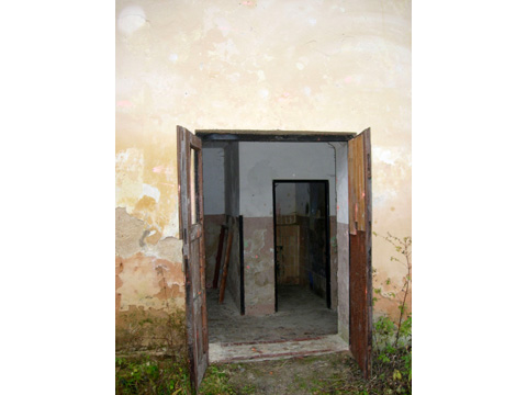 Foto 50